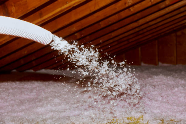 Best Insulation Maintenance and Repair in Tea, SD